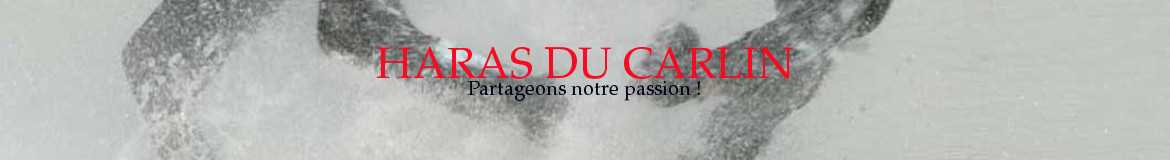 HARAS DU CARLIN